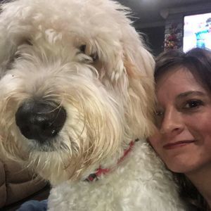 Meet your Posher, Lasha